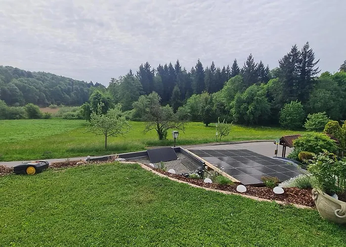 Neuweiher * Daisendorf